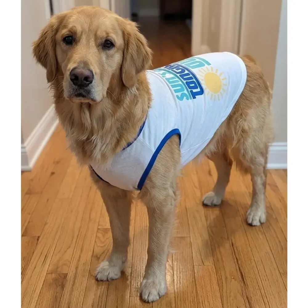 Buttons & Bones Large Dog Tank Top Sun's Out Tongue's Out Blue Trim Pet Shirt